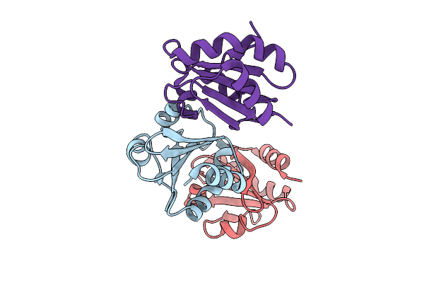 4X43 image