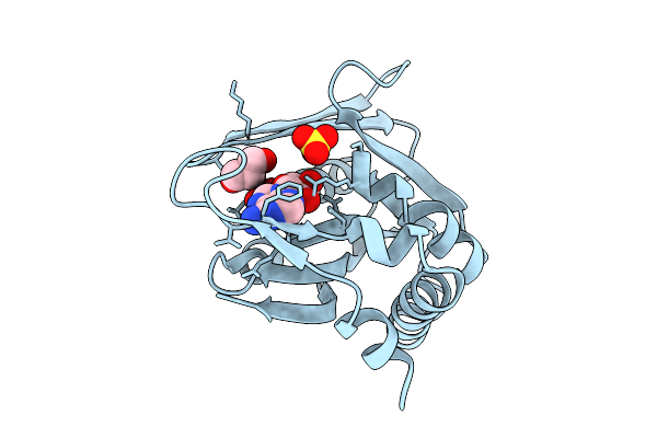 4X44 image