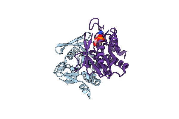 4X45 image