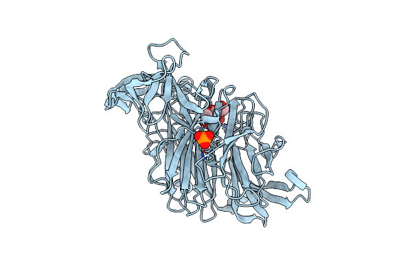 4X47 image