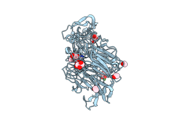 4X49 image