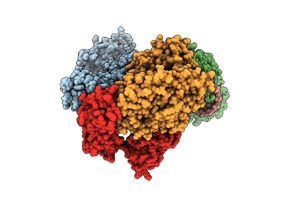 4X4N image
