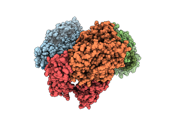 4X4T image