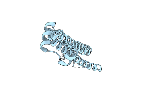 4X5U image