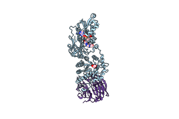 4X61 image