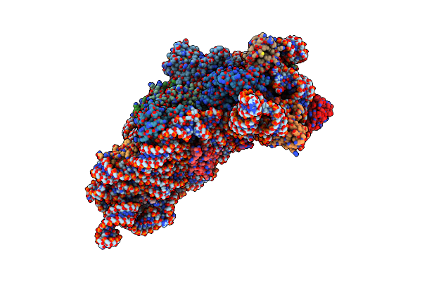 4X62 image
