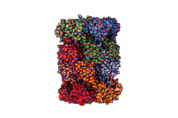 4X6Z image