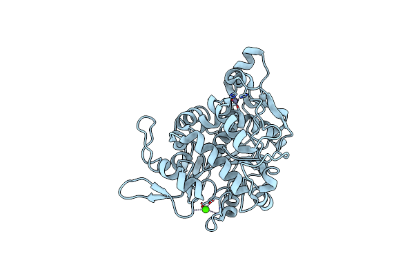 4X7B image