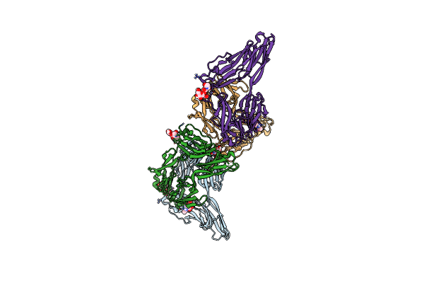 4X83 image