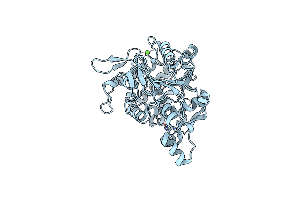 4X85 image