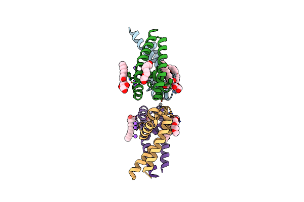 4X89 image