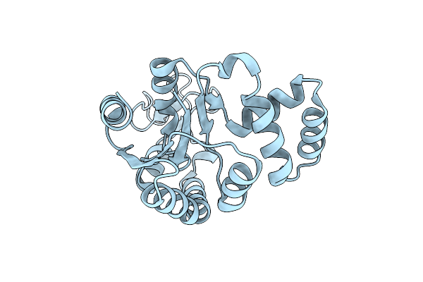 4X8H image