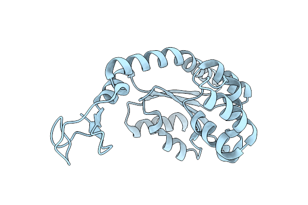 4X8M image