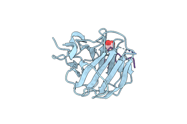 4X8P image