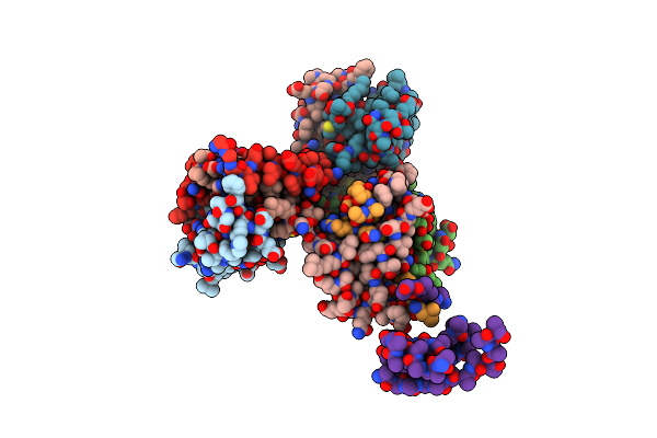 4X8W image