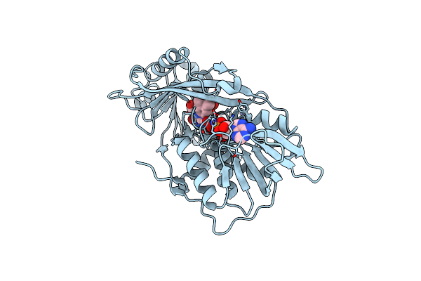 4X9M image