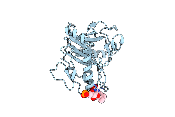 4XA7 image