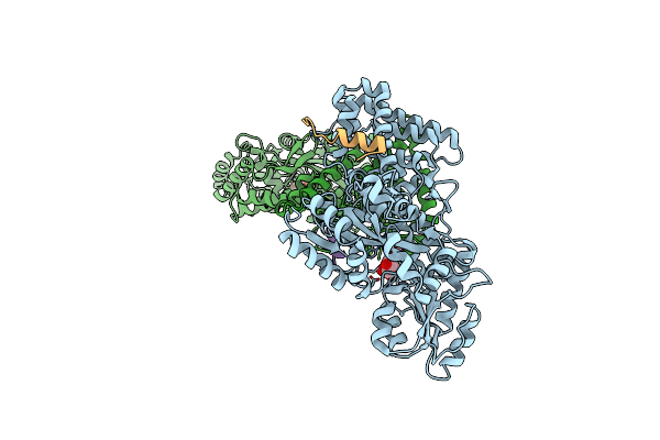 4XAI image
