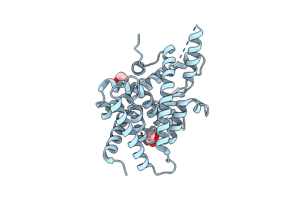 4XAO image