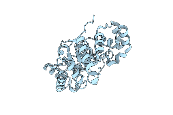 4XAP image
