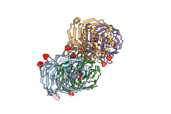 4XAV image