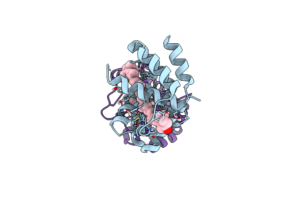 4XB4 image