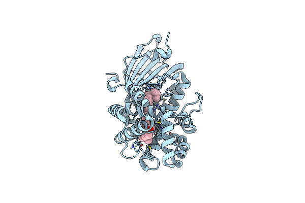 4XB5 image