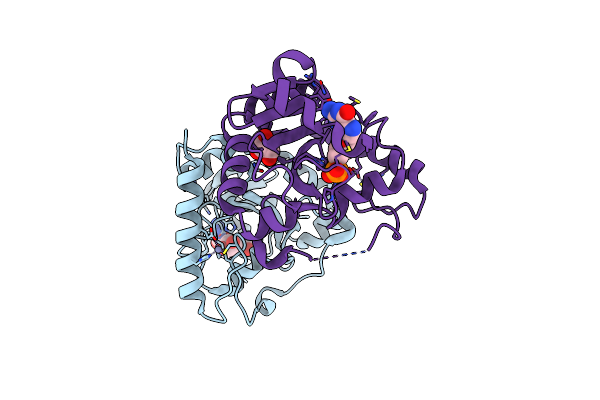 4XBA image