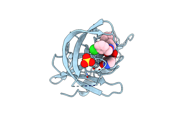 4XBB image