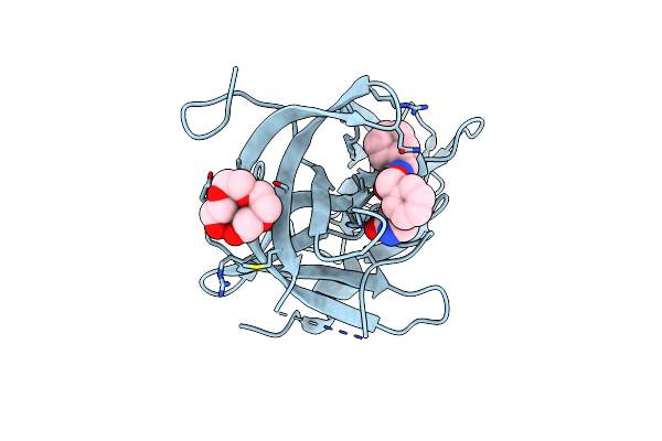 4XBC image