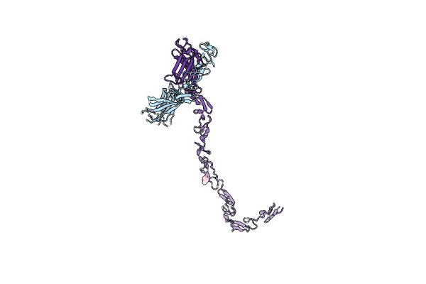 4XBM image