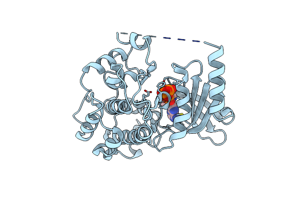 4XBR image