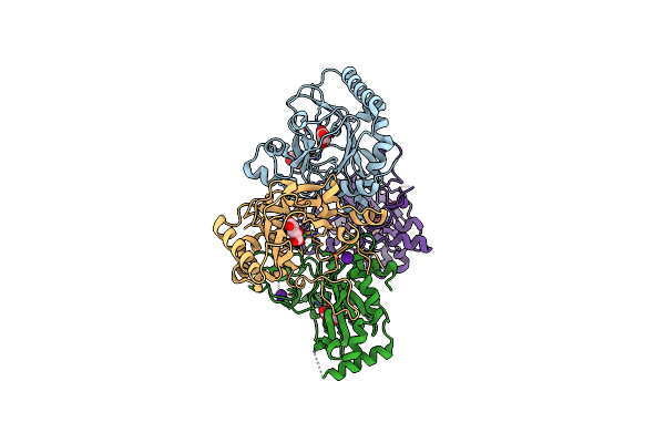 4XCA image