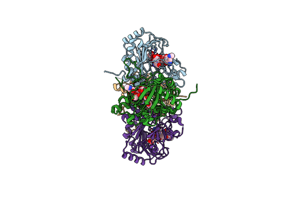 4XCB image