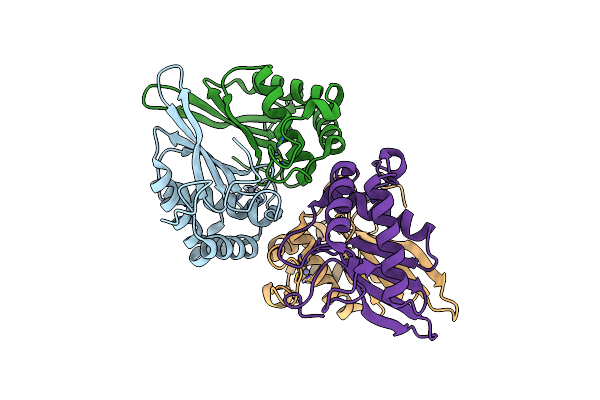 4XCH image