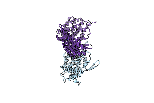 4XCI image