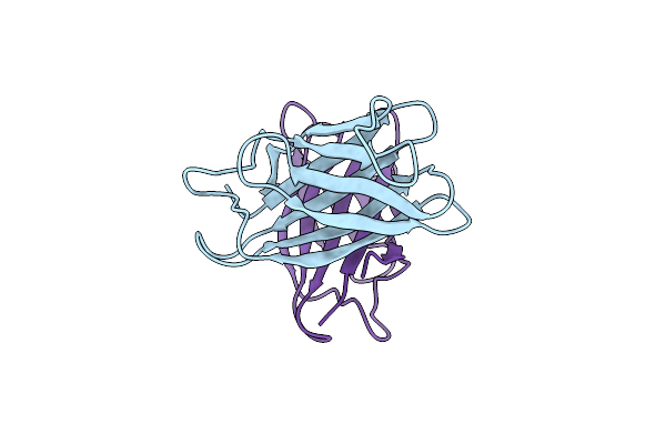 4XCR image
