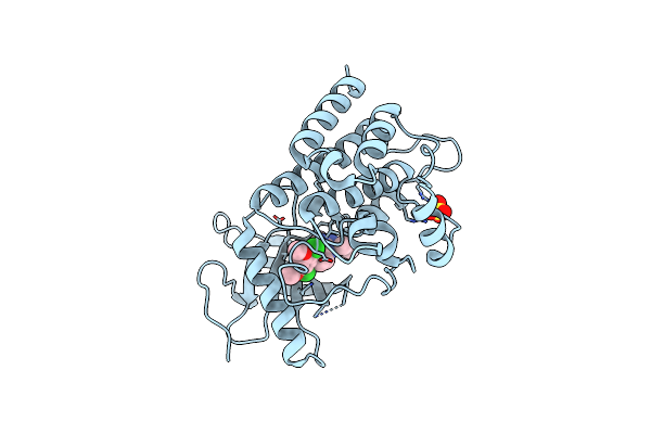4XCU image
