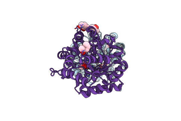 4XD3 image