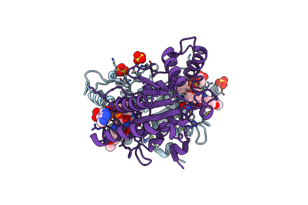4XDH image