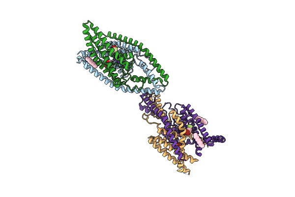 4XDL image
