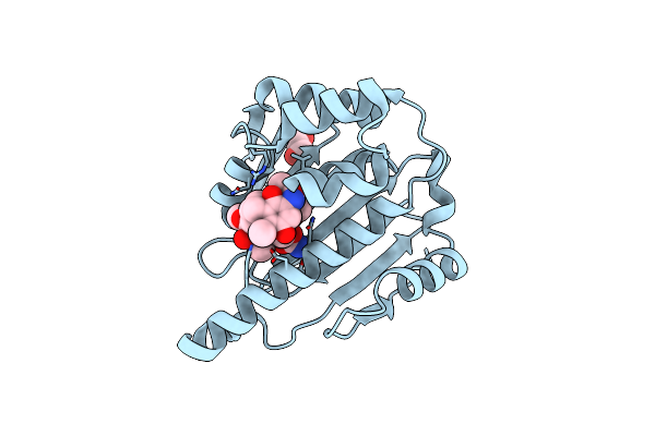 4XDM image