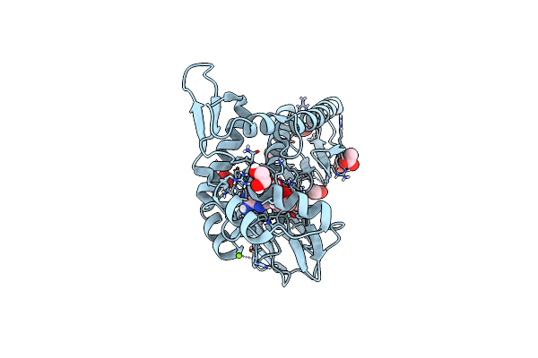 4XDR image