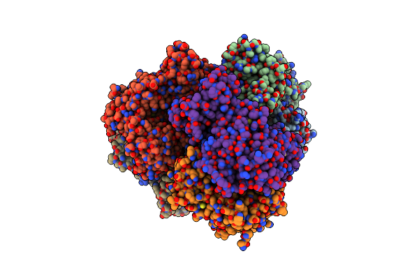 4XDS image