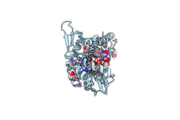 4XDT image