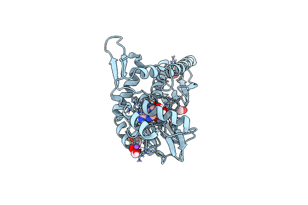 4XDU image
