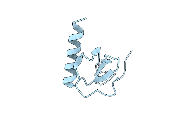 4XDX image