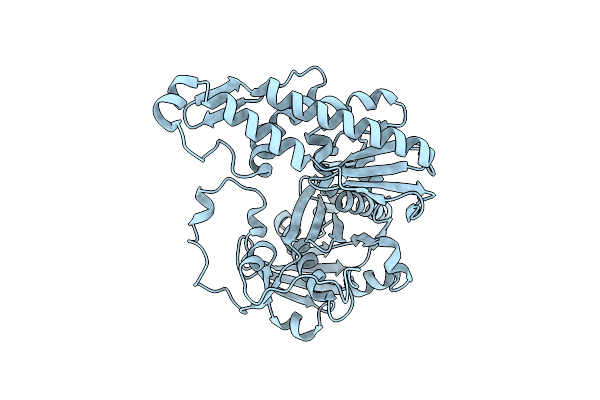 4XE7 image