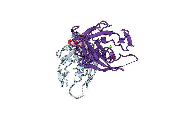4XEL image