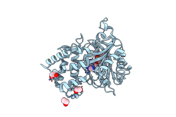 4XEM image